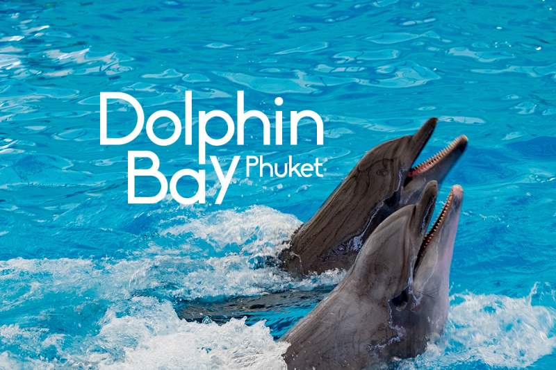 Dolphins Bay & Carnival Magic Combo